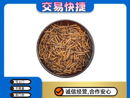 长沙礼品回收虫草.jpg